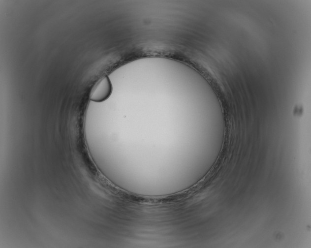 X0000093250690200709261557