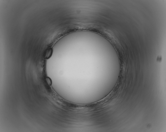 X0000093250691200709261557