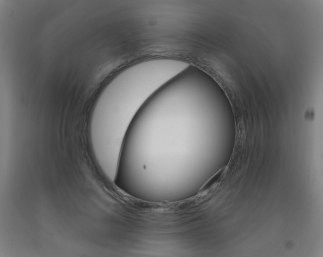 X0000093250692200709261557