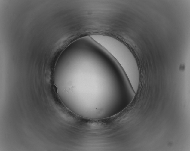 X0000093250693200709261557