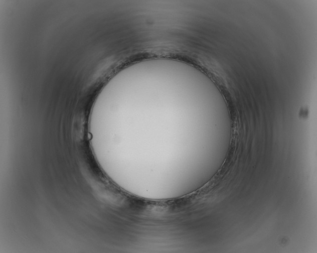 X0000093250694200709261557