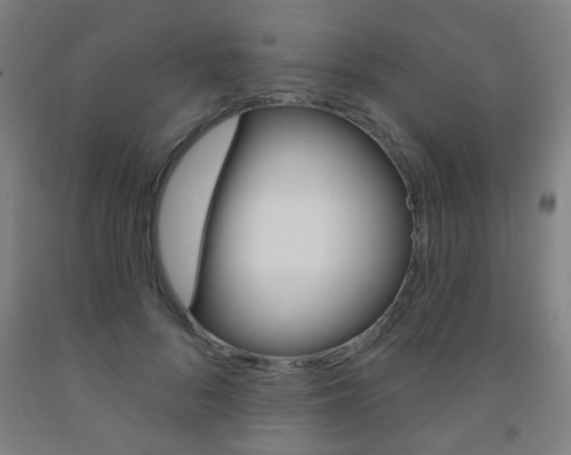 X0000093250696200709261557