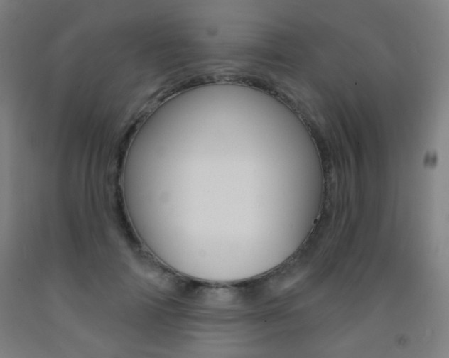 X0000093250698200709261557