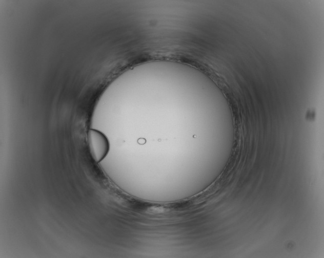 X0000093250699200709261557