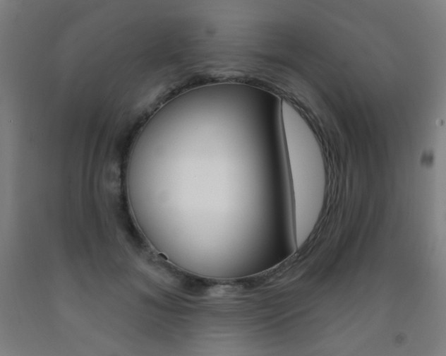 X0000093250700200709261557