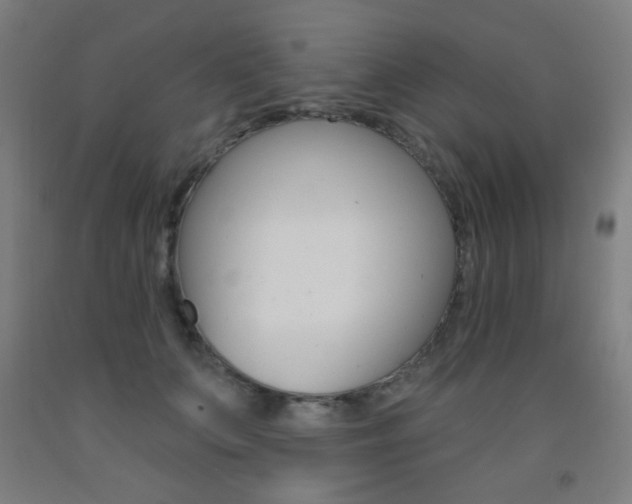 X0000093250703200709261557