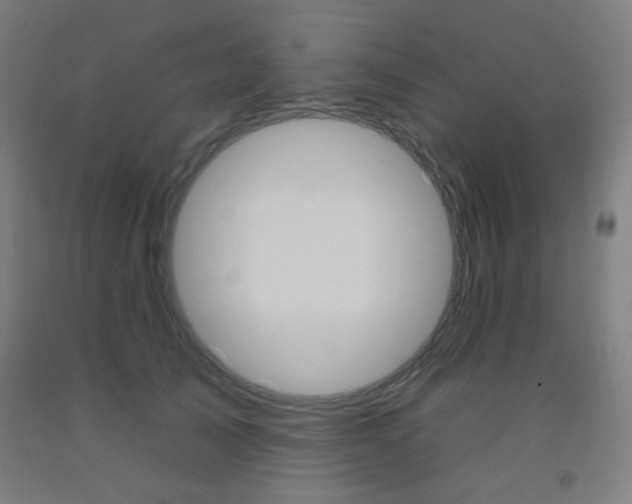 X0000093250705200709261557