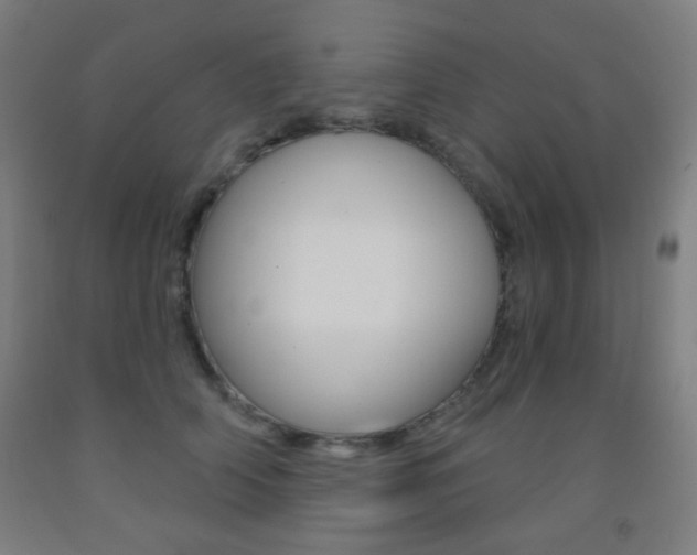 X0000093250706200709261557
