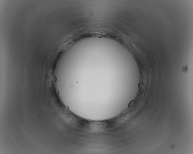 X0000093250707200709261557