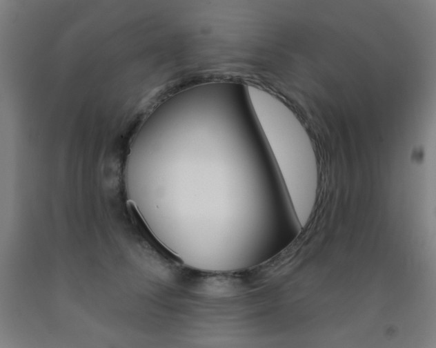 X0000093250708200709261557