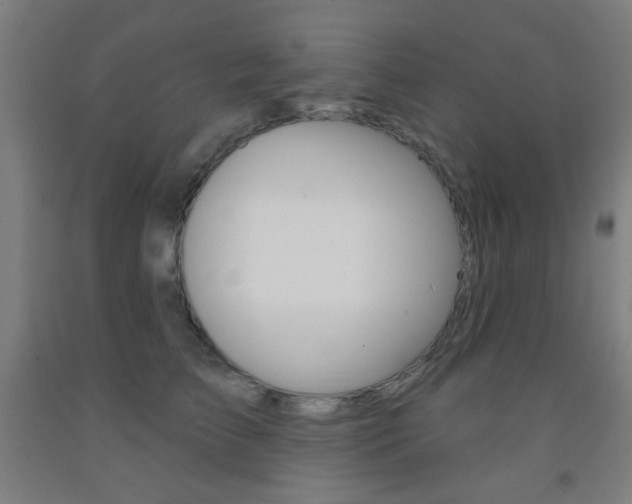 X0000093250709200709261557