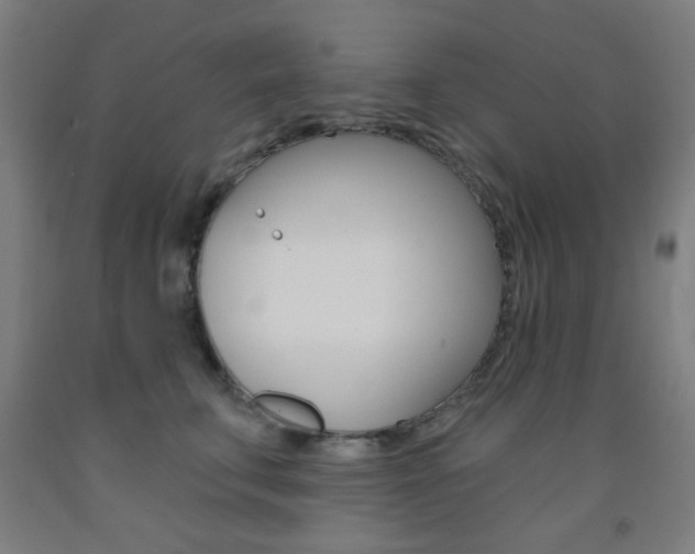 X0000093250711200709261556