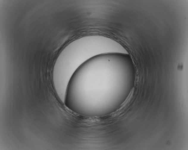 X0000093250712200709261556