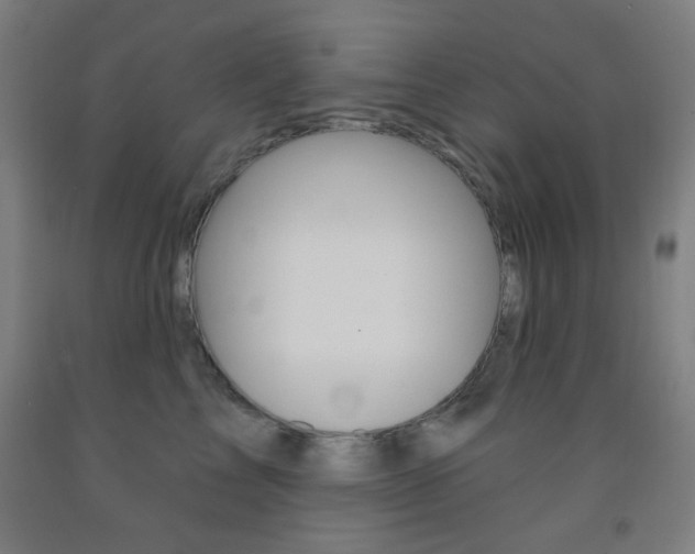 X0000093250713200709261556