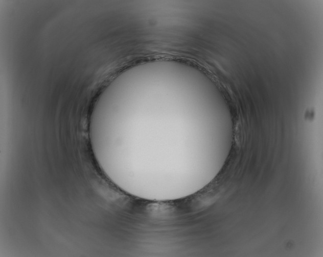 X0000093250714200709261556