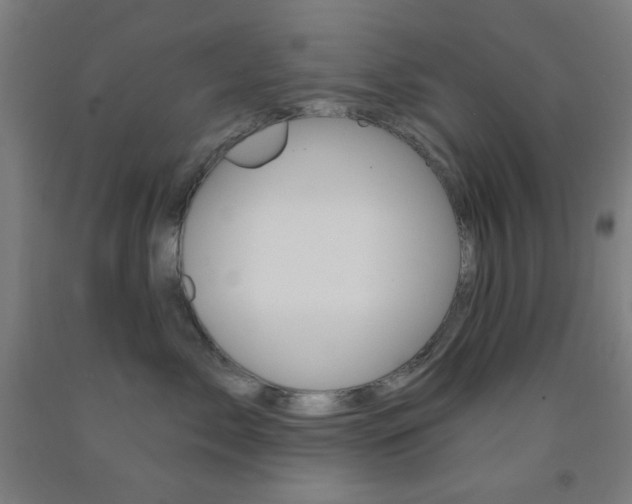 X0000093250717200709261556