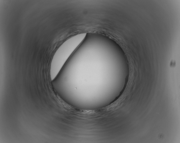 X0000093250720200709261556