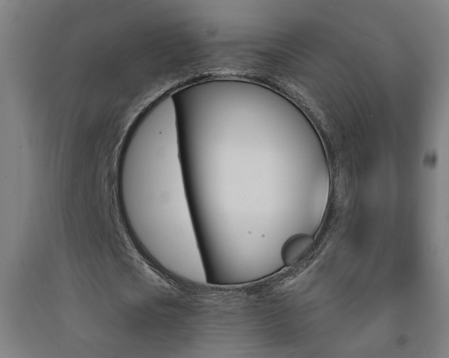 X0000093250721200709261556