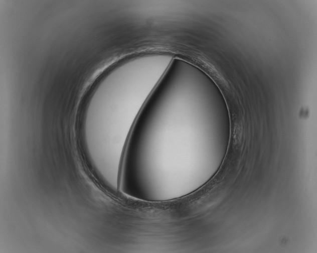 X0000093250722200709261556