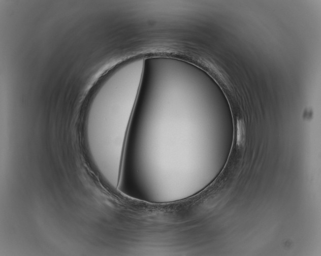 X0000093250723200709261556