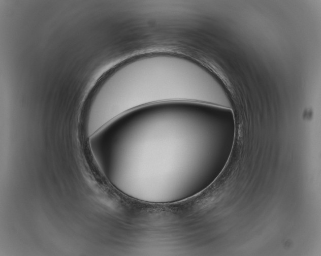X0000093250724200709261556