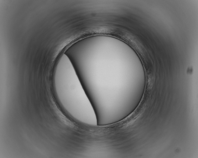 X0000093250725200709261556