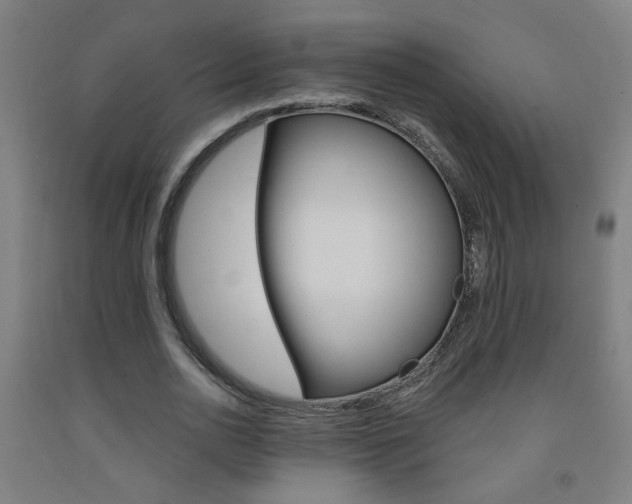 X0000093250726200709261556