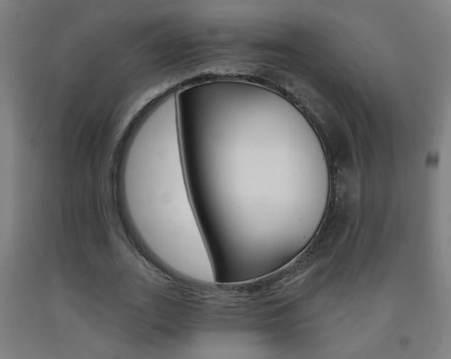 X0000093250727200709261556