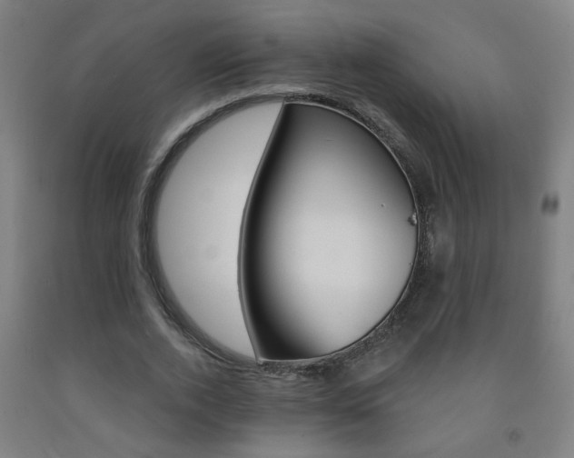 X0000093250728200709261556