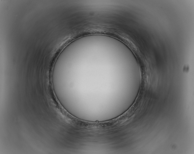 X0000093250729200709261556