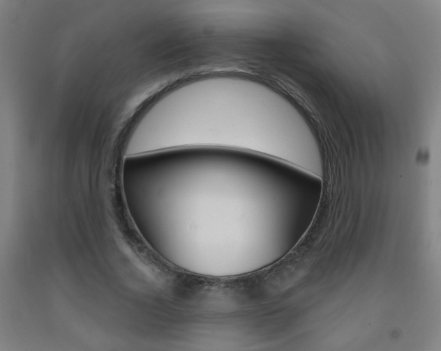 X0000093250732200709261556