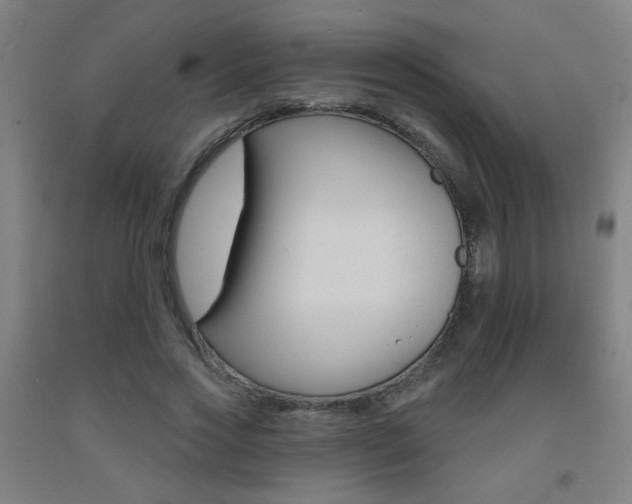 X0000093250733200709261556