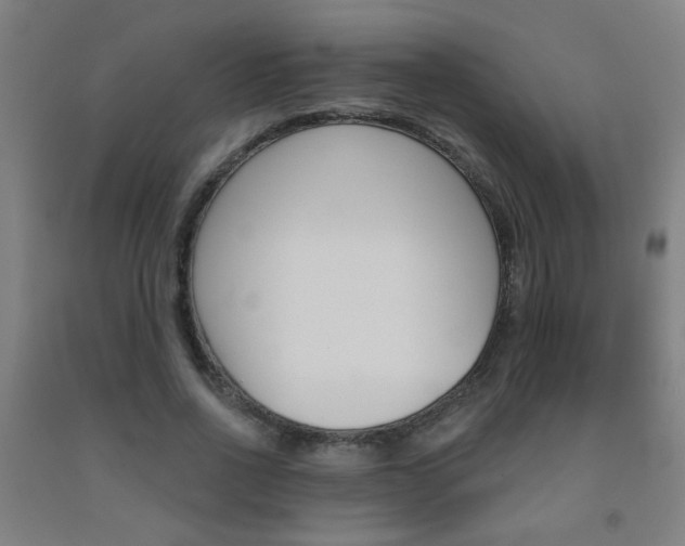 X0000093250734200709261556