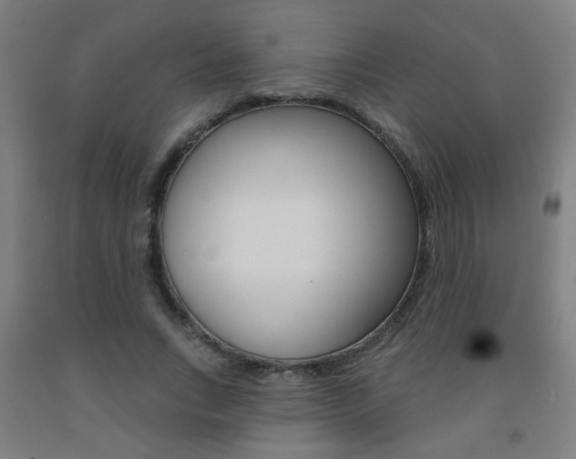 X0000093250735200709261556