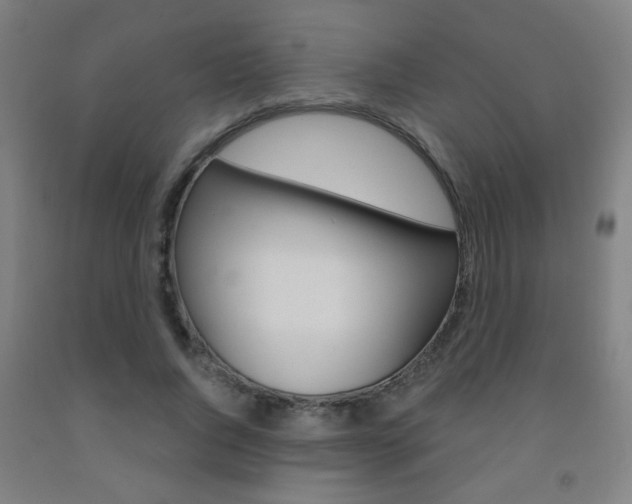 X0000093250736200709261556