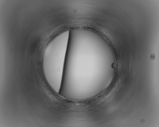 X0000093250737200709261556