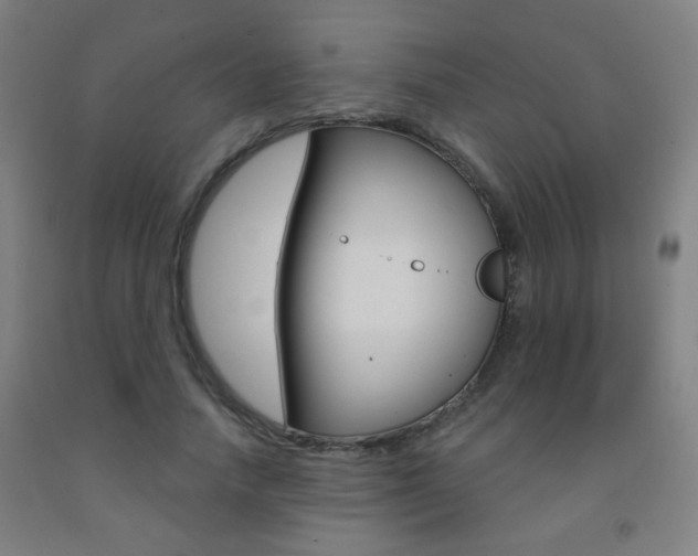 X0000093250738200709261556
