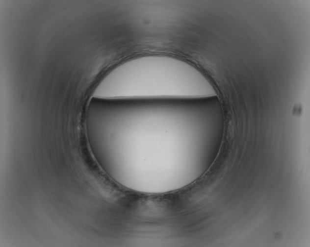 X0000093250739200709261556