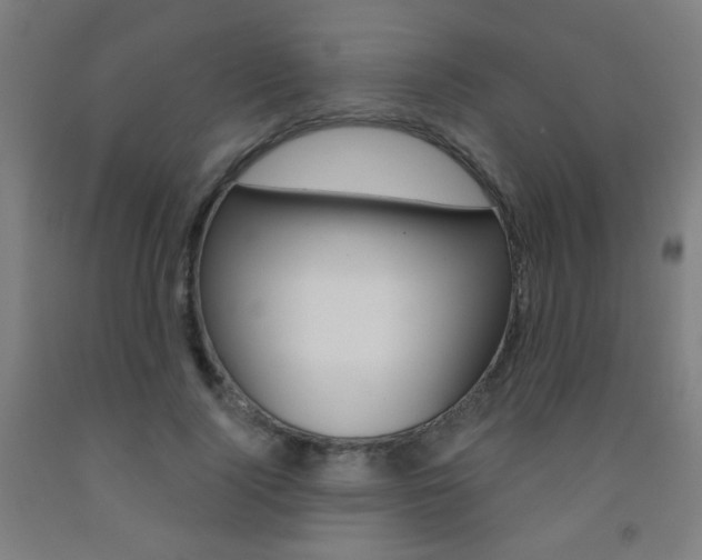 X0000093250740200709261556