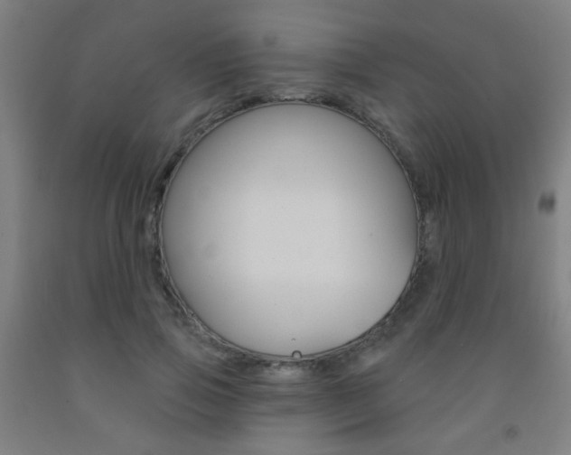 X0000093250741200709261556