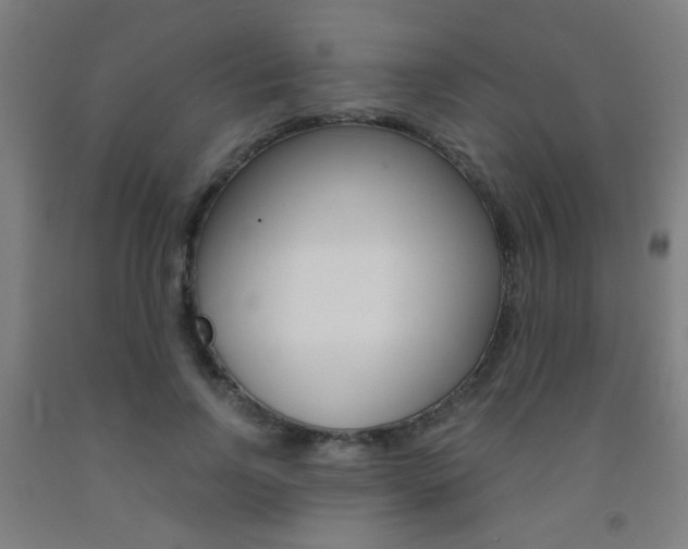 X0000093250742200709261556