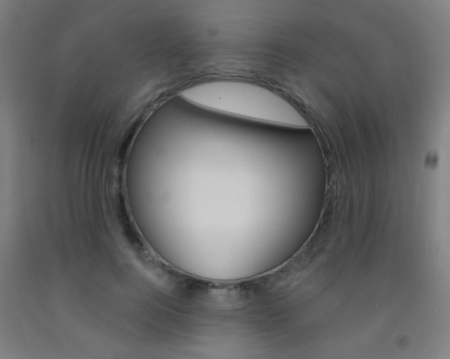 X0000093250744200709261556