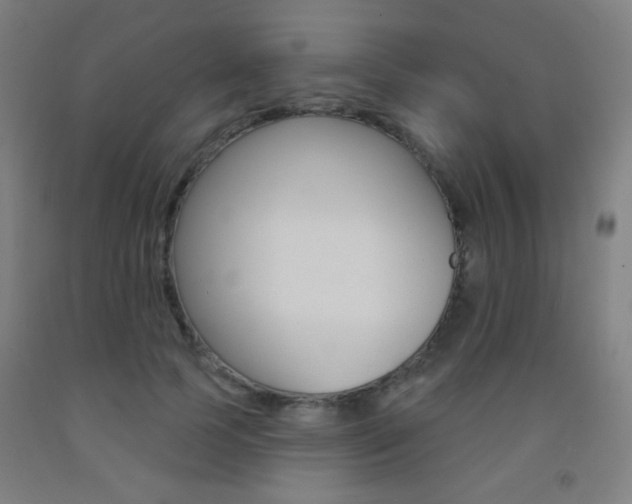 X0000093250745200709261556