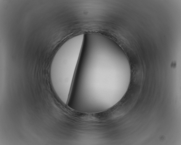 X0000093250747200709261556