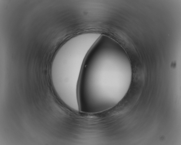 X0000093250748200709261556