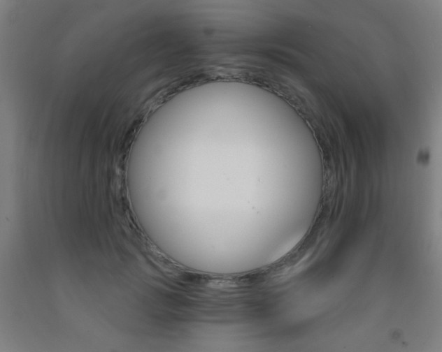 X0000093250749200709261556