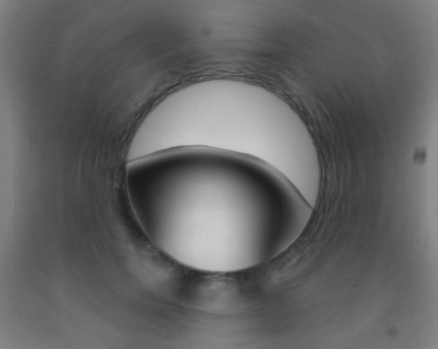 X0000093250750200709261556