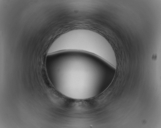 X0000093250752200709261556