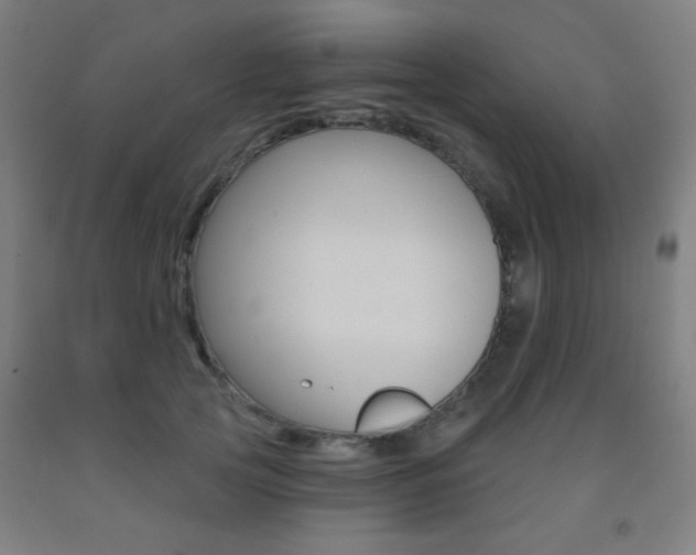 X0000093250753200709261556