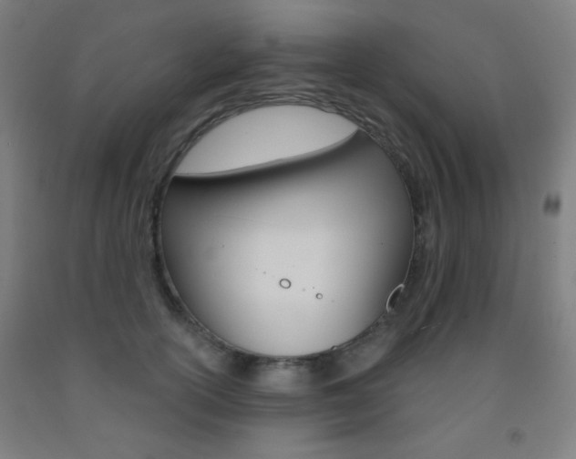 X0000093250754200709261556